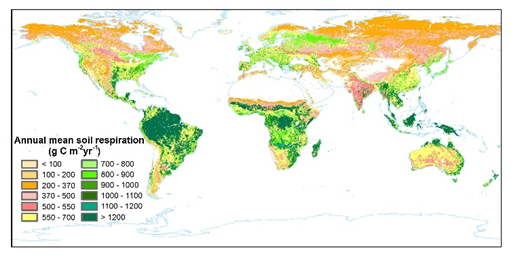 全球1km 年土壤呼吸产品（2000-2020年）