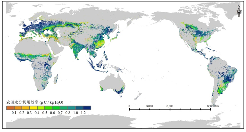 全球农田水分利用效率产品(2001-2020年，1公里分辨率) (GCWUE-1KM_2001-2020)