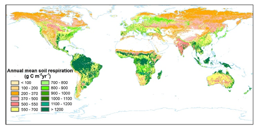 Global 1km Annual Soil Respiration Product (2000-2020)
