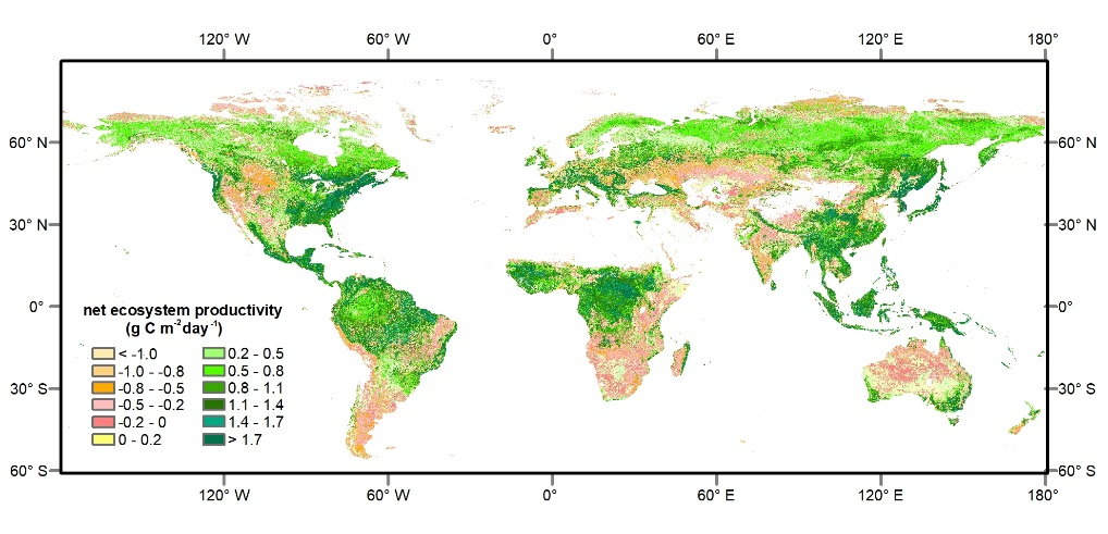 Global Terrestrial Net Ecosystem Productivity Product (1981-2020)
　　